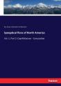 Synoptical Flora Of North America - Preview