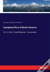 Capa do artigo Synoptical Flora Of North America