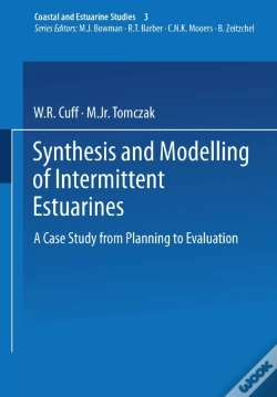 Capa do artigo Synthesis And Modelling Of Intermittent Estuaries