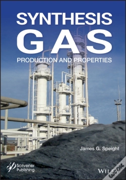 Capa do artigo Synthesis Gas