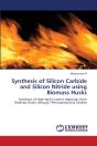Synthesis Of Silicon Carbide And Silicon Nitride Using Biomass Husks - Preview