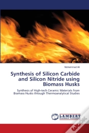 Capa do artigo Synthesis Of Silicon Carbide And Silicon Nitride Using Biomass Husks