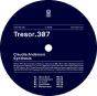 Synthesis - Vinil - Preview