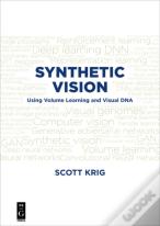 Synthetic Vision