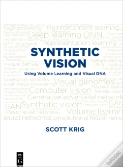 Capa do artigo Synthetic Vision