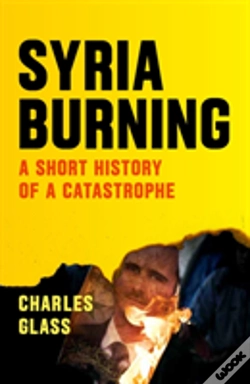 Capa do artigo Syria Burning