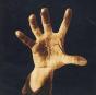 System of a Down - CD - Preview