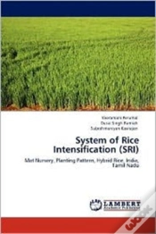 Capa do artigo System Of Rice Intensification (Sri)