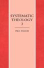 Systematic Theology Volume 3 - Preview