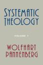 Systematic Theology - Preview