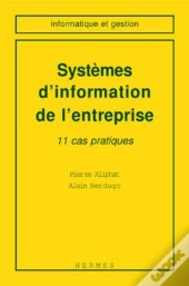 Systemes D'Information De L'Entreprise 11 Cas Pratiques Informatique Et Gestion