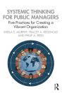 Systemic Thinking For Public Managers - Preview