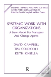 Systemic Work With Organizations