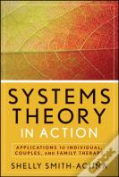 Systems Theory In Action