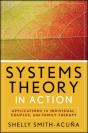 Systems Theory In Action - Preview