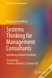 Systems Thinking For Management Consultants
