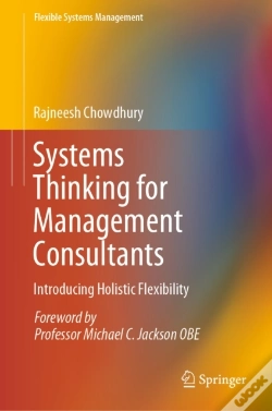 Capa do artigo Systems Thinking For Management Consultants