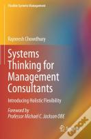 Systems Thinking For Management Consultants