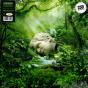 SZNZ: Spring  - Vinil - Preview