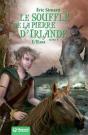T4 L'Eau Le Souffle De La Pierre D'Irlande - Preview