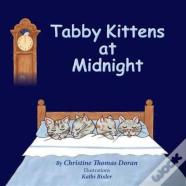 Tabby Kittens At Midnight