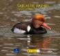 Tablas De Daimiel - Preview