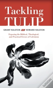 Capa do artigo Tackling Tulip