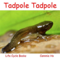 Tadpole Tadpole - Preview
