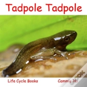 Tadpole Tadpole