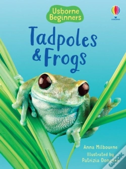 Capa do artigo Tadpoles And Frogs