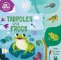 Tadpoles And Frogs - Preview