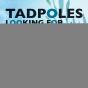 Tadpoles Looking For Their Mother - Preview