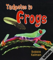 Capa do artigo Tadpoles To Frogs