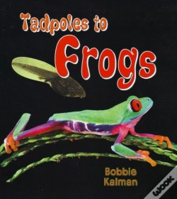 Capa do artigo Tadpoles To Frogs