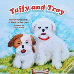 Capa do artigo Taffy And Troy