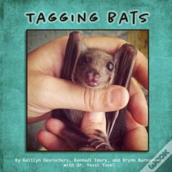 Capa do artigo Tagging Bats