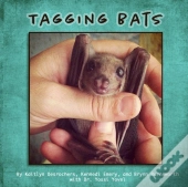 Tagging Bats