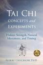 Tai Chi Concepts And Experiments - Preview