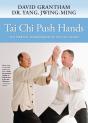 Tai Chi Push Hands - Preview