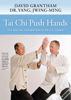 Capa do artigo Tai Chi Push Hands