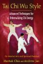 Tai Chi Wu Style - Preview