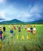 Tai - Preview