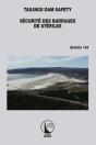 Tailings Dam Safety / Securite Des Barrages De Steriles - Preview
