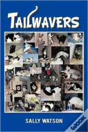 Capa do artigo Tailwavers