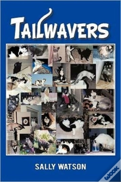 Capa do artigo Tailwavers