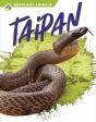 Taipan - Preview