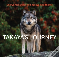 Capa do artigo Takaya'S Journey