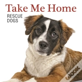 Take Me Home