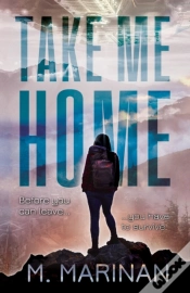 Capa do artigo Take Me Home
