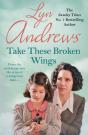 Take These Broken Wings - Preview